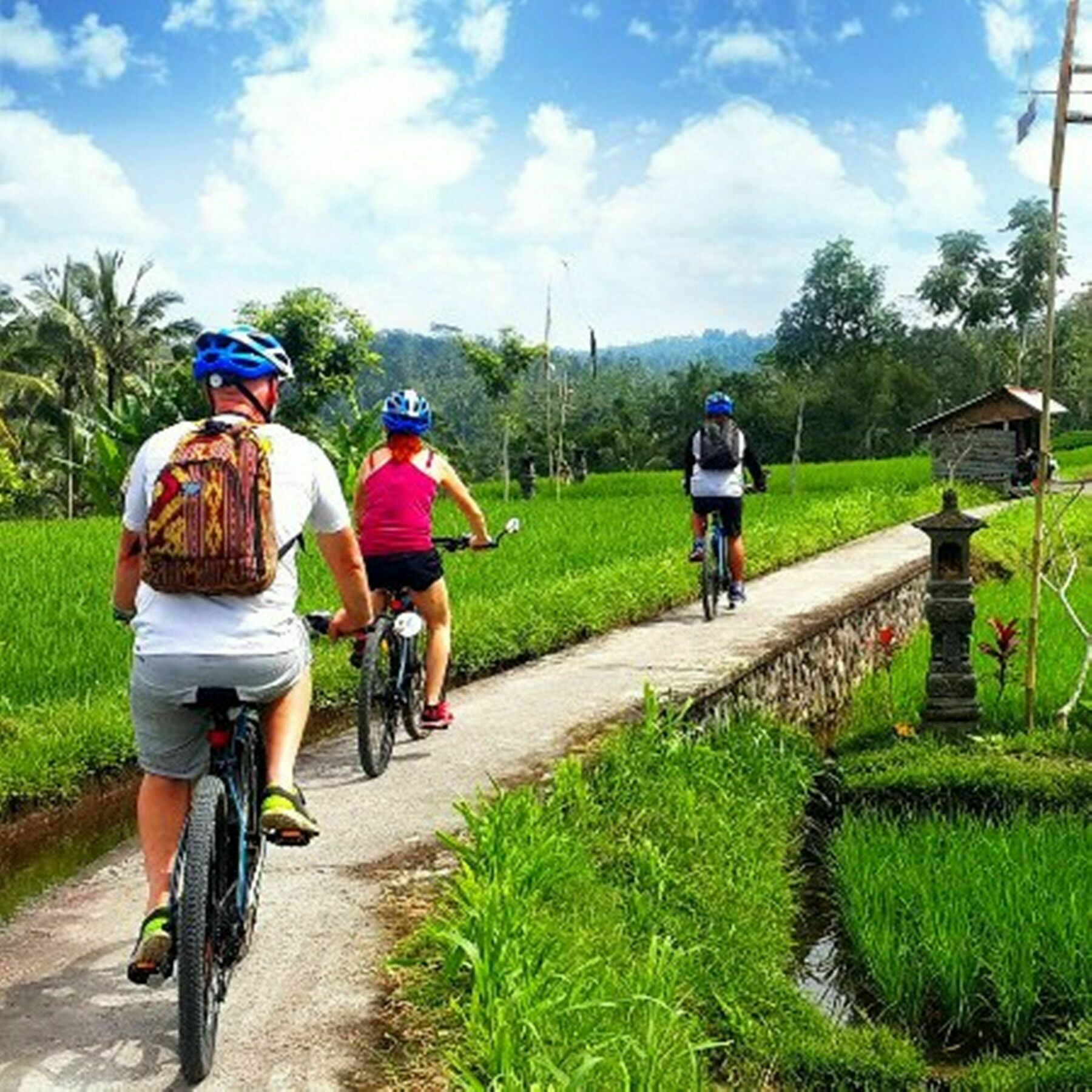 Hotel Omah D'Taman By Eps Ubud Esterno foto